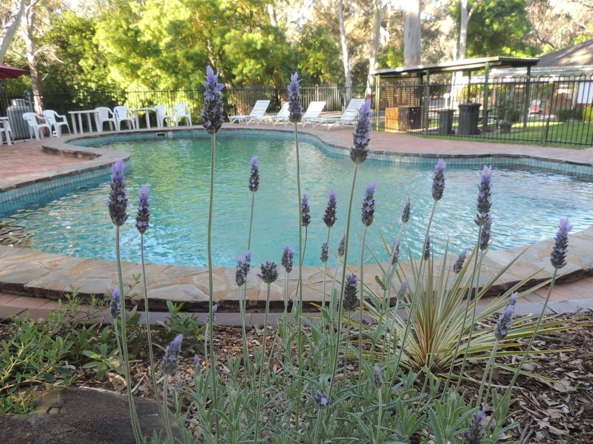 Belair National Park Holiday Park Εξωτερικό φωτογραφία
