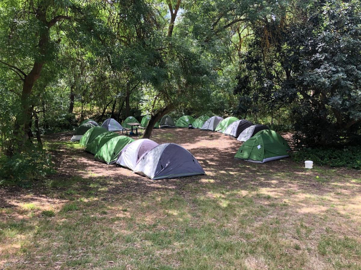 Belair National Park Holiday Park Εξωτερικό φωτογραφία
