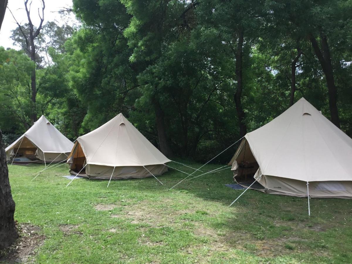 Belair National Park Holiday Park Εξωτερικό φωτογραφία