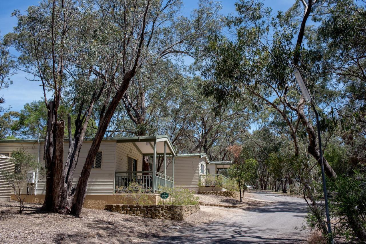 Belair National Park Holiday Park Εξωτερικό φωτογραφία