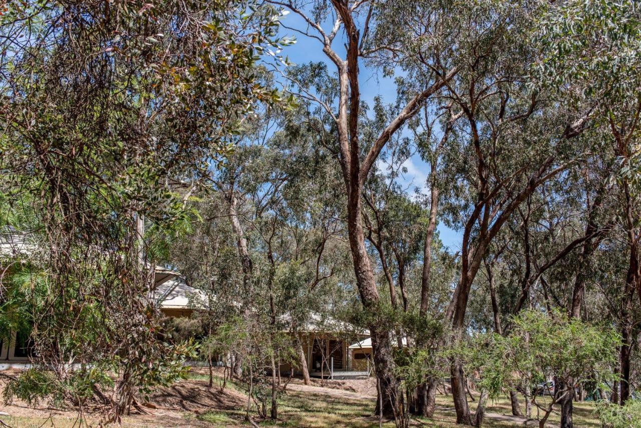 Belair National Park Holiday Park Εξωτερικό φωτογραφία