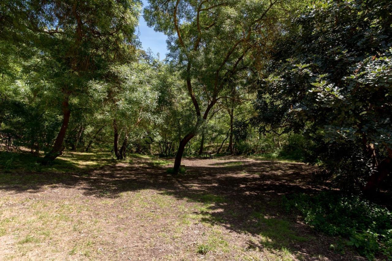 Belair National Park Holiday Park Εξωτερικό φωτογραφία